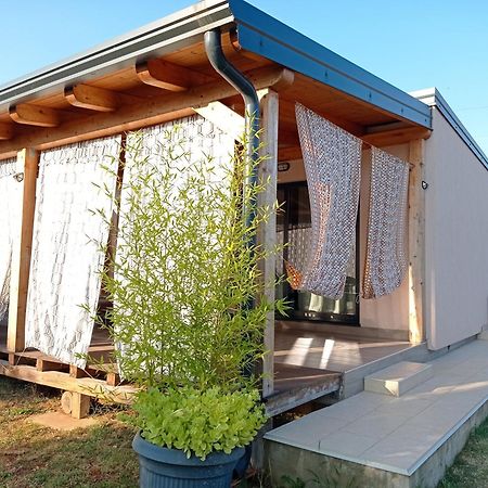 Nature Home Eco-Friendly Pet-Friendly Fažana Exterior foto